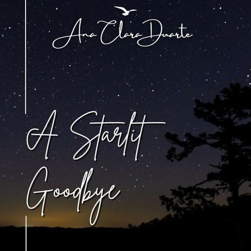 A Starlit Goodbye