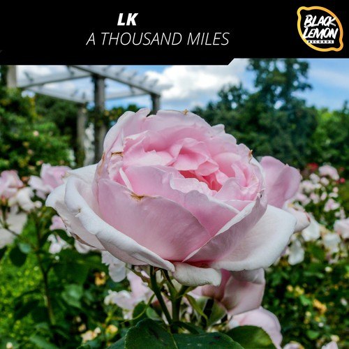 LK-A Thousand Miles