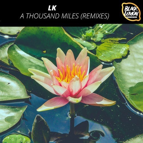 LK, Charly Houss, Duss Hagen, Toby Lennon, Alex G, EA&F, Disco Code Violation-A Thousand Miles (Remixes)