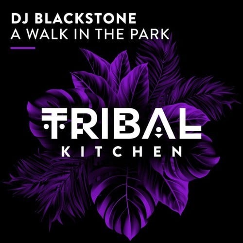 Dj Blackstone-A Walk in the Park (Extended Mix)