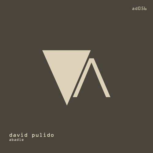 David Pulido-Abadie