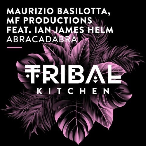 Maurizio Basilotta, MF Productions, Ian James Helm-Abracadabra