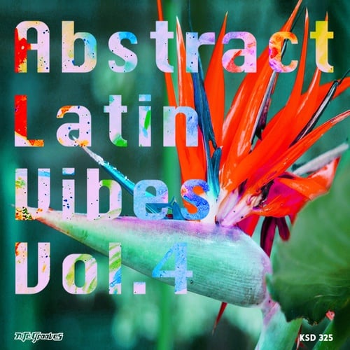 Various Artists-Abstract Latin Vibes, Vol. 4