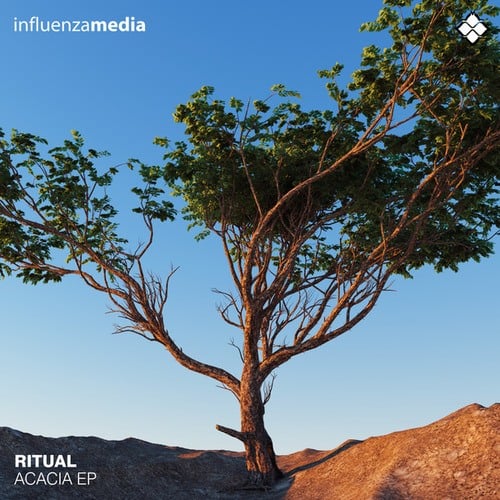 Ritual, Alpha Rhythm-Acacia EP
