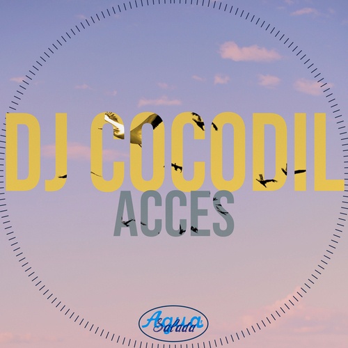 DJ Cocodil-Acces