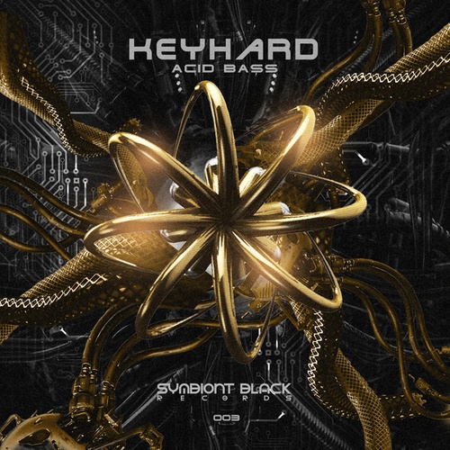 Keyhard-Acid bass