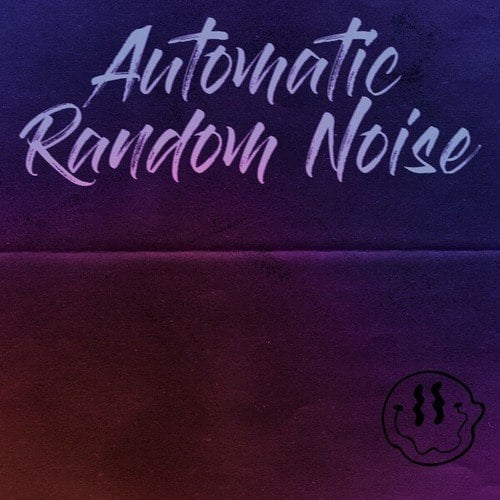 Automatic Random Noise-Acid Bit 2