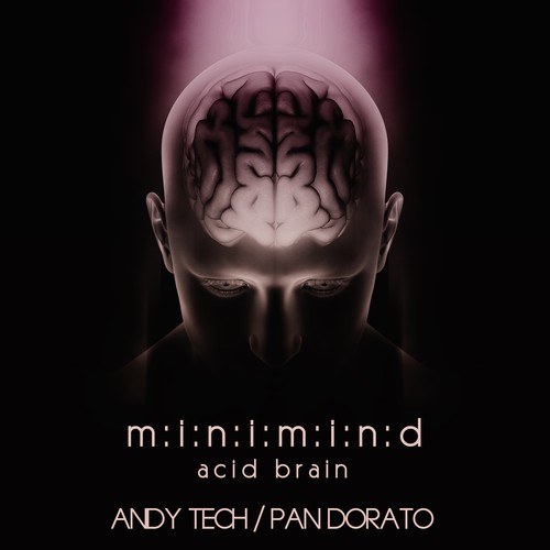 Minimind-Acid Brain