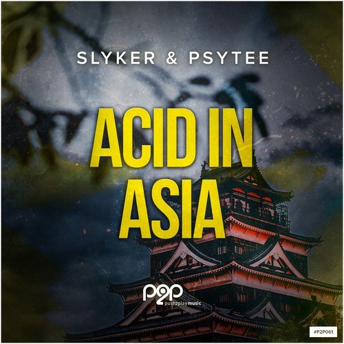 Slyker, Psytee, Mindblast, Shell Shokk, NAELLOW, Mystic Experience-Acid in Asia