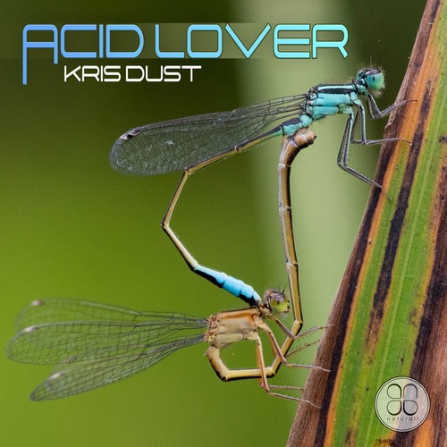 Kris Dust-Acid Lover 