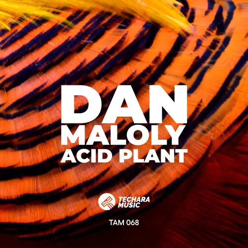 Dan Maloly-Acid Plant
