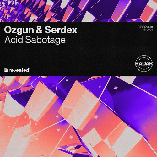 Ozgun, Serdex, Revealed Recordings-Acid Sabotage