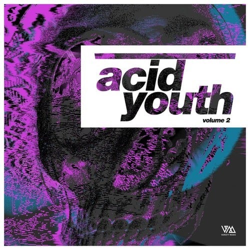 Various Artists-Acid Youth, Vol. 2