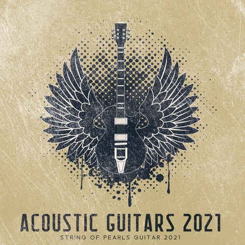 Acoustic Guitars 2021