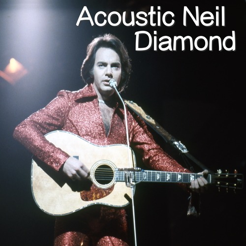 Neil Diamond-Acoustic Neil Diamond