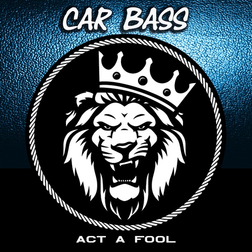 Car Bass-Act a Fool