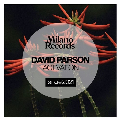David Parson-Activation