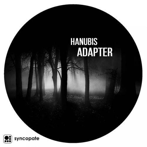 Hanubis-Adapter/Block747