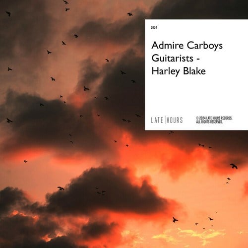 Harley Blake-Admire Carboys Guitarists