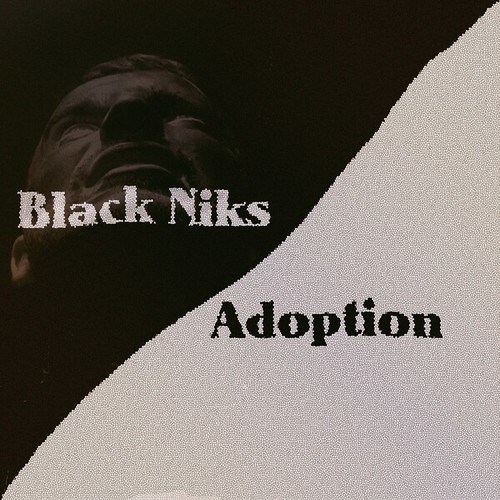 Black Niks-Adoption