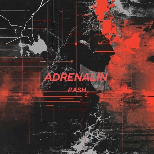 PASH-Adrenalin