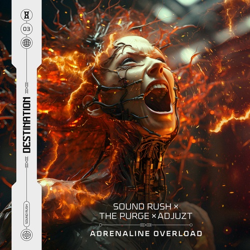 Sound Rush, The Purge, Adjuzt-Adrenaline Overload