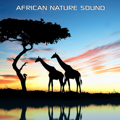 African Nature Sound (feat. Nature Soundscapes, Discovery Soundscapes & Discovery Nature Sound)