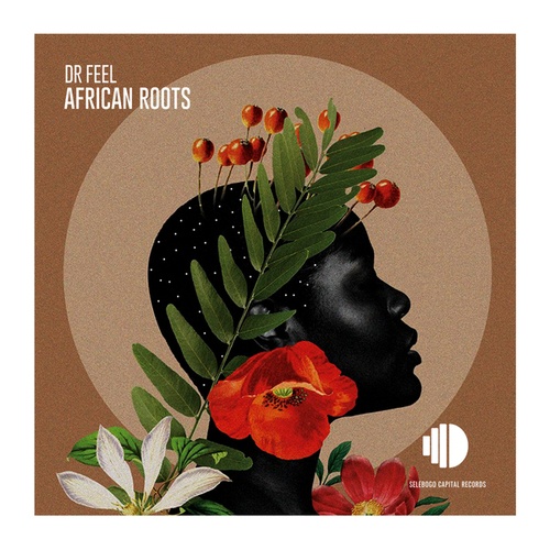 Dr Feel-African Roots
