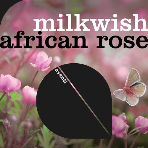Milkwish-African Rose