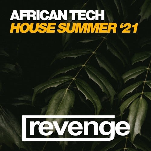 Various Artists-African Tech House Summer '21