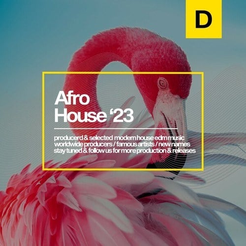 Various Artists-Afro House 2023