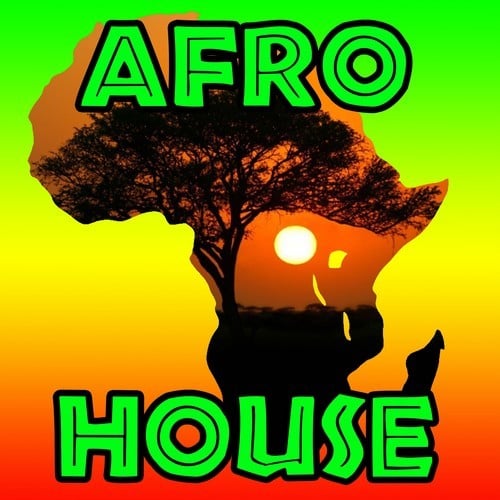 Various Artists-Afro House