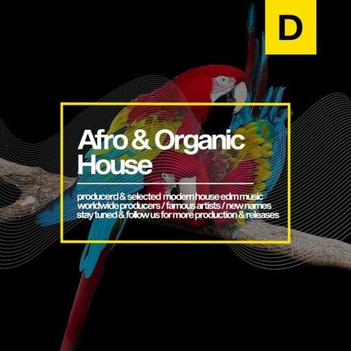 Afro & Organic House 2023