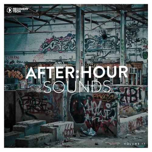 Various Artists-After:Hour Sounds, Vol. 17