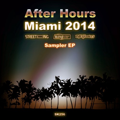 City Soul Project, Roland Nights, 2toodrums, Alfonso Ares, Roberto Carbonero, La Rachel-After Hours Miami 2014 Sampler EP