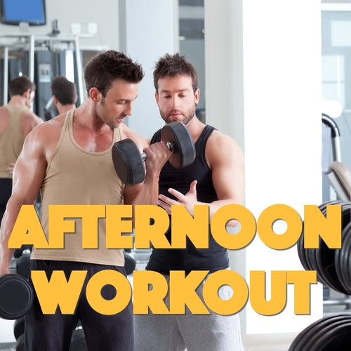 Various Artists-Afternoon Workout