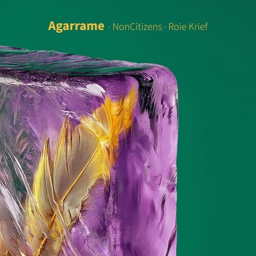 NonCitizens, Roie Krief-Agarrame