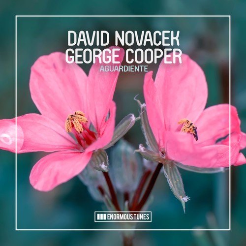 David Novacek, George Cooper-Aguardiente