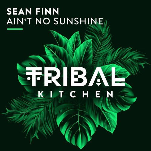 Sean Finn-Ain't No Sunshine