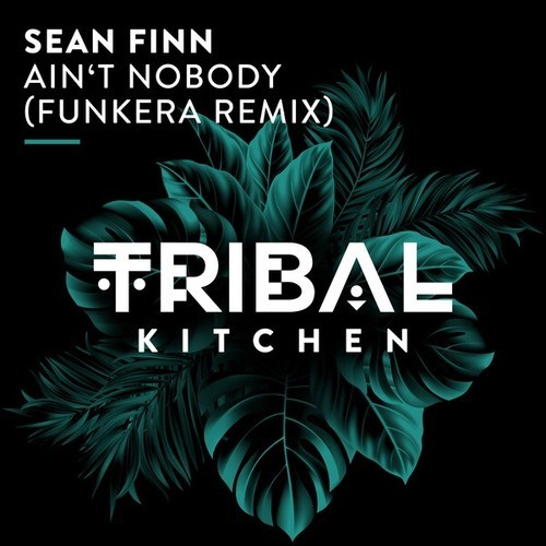 Sean Finn, Funkera-Ain't Nobody (Funkera Extended Remix)