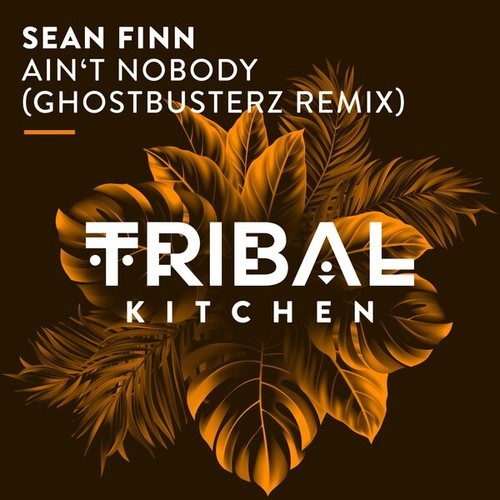 Sean Finn, Ghostbusterz-Ain't Nobody (Ghostbusterz Remix)