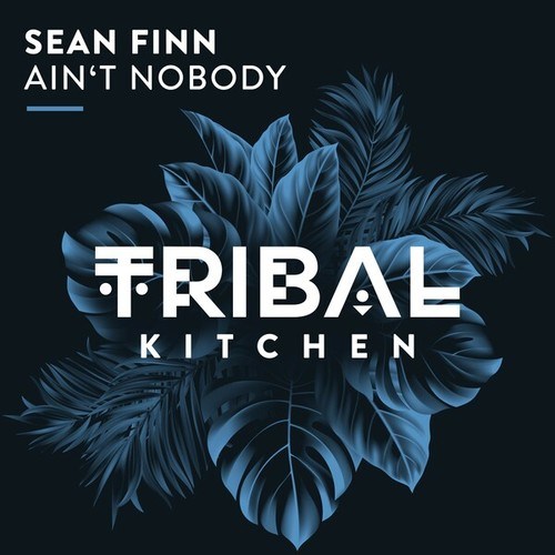 Sean Finn-Ain't Nobody