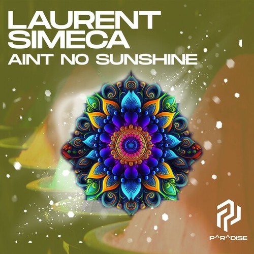 Laurent Simeca-Ain't No Sunshine