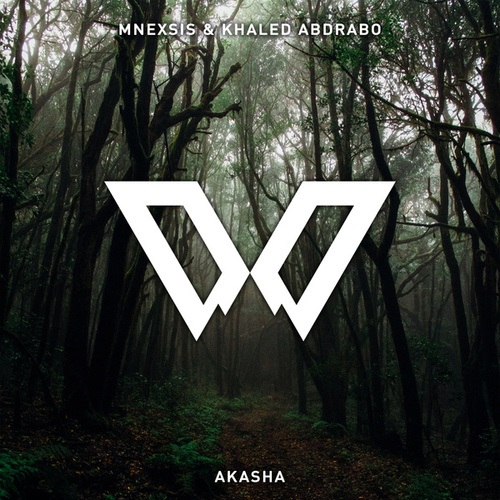 Mnexsis, Khaled Abdrabo-Akasha