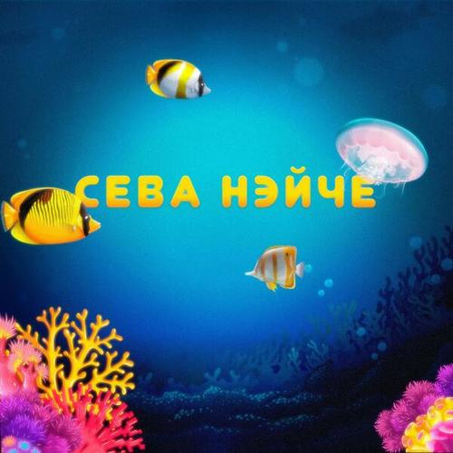 Сева Нэйче-Аквафил