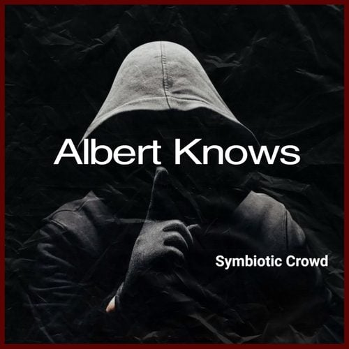 Symbiotic Crowd-Albert Knows