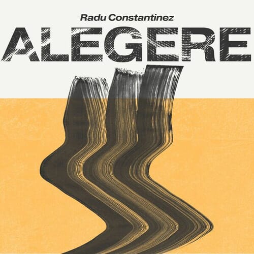 Radu Constantinez-Alegere