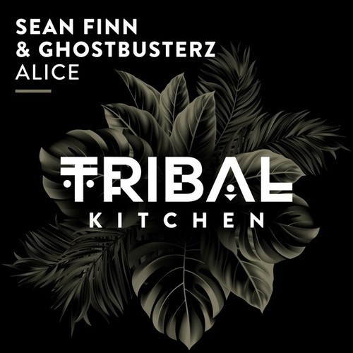 Block & Crown, Sean Finn-Alice (Extended Mix)