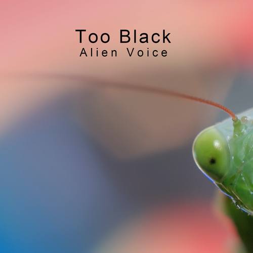 Too Black-Alien Voice