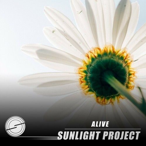 Sunlight Project-Alive